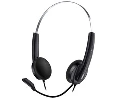 GENIUS ausines HS-220U/ USB/ juodas-sidabras