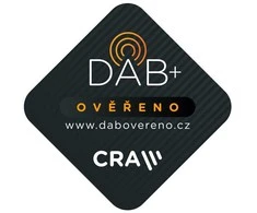 GoGEN DAB 300 N