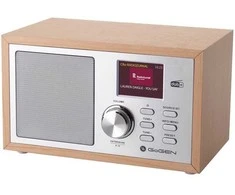 GoGEN DAB620BTCS