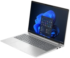 Nešiojamas kompiuteris HP ProBook 4 G2a (DJ8L1ET)