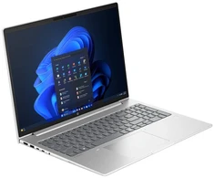 Nešiojamas kompiuteris HP ProBook 4 G2a (DJ8L1ET)