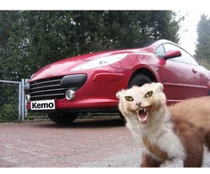 KEMO M100N odpuzovač kun