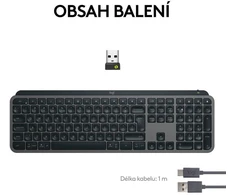 Klaviatūra „Logitech MX Keys S“, skirti „Mac“, kosminės pilkos spalvos – CZ/SK