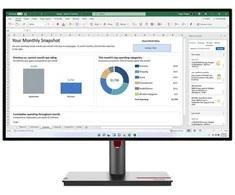 Monitorius Lenovo ThinkVision P24q-30 (63B4GAT6EU)