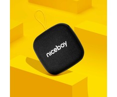 Niceboy RAZE Mini 4