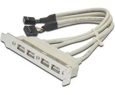 Assmann Electronic ASSMANN USB lizdo laikiklio kabelis 4x tipo A-2x10 kontaktų IDC F/F 0,25 m USB 2.0 suderinamas