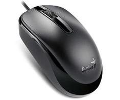 Genius DX-120 Pelė su laidu, juoda, 1200DPI, USB-C