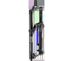 RockShox Domain Gold Isolator RC3 - Crown 29" Boost 15x110 160mm Juodas Alum Str C1
