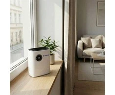 Sausintuvas AERIUM DH500 Ionic