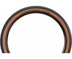 Padanga 26" Schwalbe Billy Bonkers HS 600 559-54