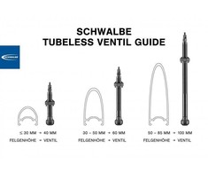 Schwalbe Tubeless valve 80 mm set of 2