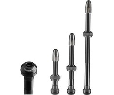 Schwalbe Tubeless valve 80 mm set of 2