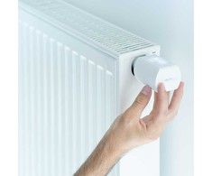 Somfy termostatinė galvutė 1870508