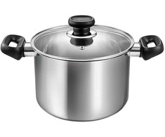 Tescoma Puodas su dangčiu 20cm 4l