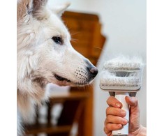 Dulkių siurblys Tesla Rinkinys PetCare Station TQ500 Pro