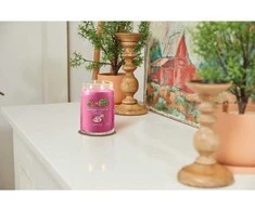 Yankee Candle Aromatinė žvakė Signatūrinis stiklas didelis "Art in the Park" 567 g