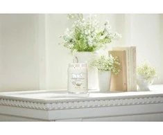 Yankee Candle Signature Clean Cotton kvapni žvakė, 411 g