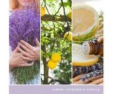 Yankee Candle Aromatinė žvakė Signature glass medium Lemon Lavender 368 g