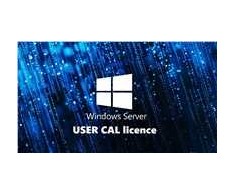 Fsas WINSVR CAL 2025 1 USER - CONFIG ONLY