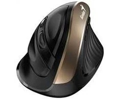 Genius Pelė Ergo Pelė 8250S, 1600DPI, 2,4 [GHz], optinė, 6 klasė, bevielė, juoda ir auksinė, 1 vnt AA, vertikali