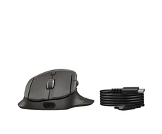 Hewlett Packard (HP) HP pelė - HP Tilt Ergonomic Mouse 725M