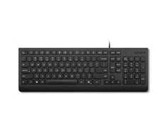 Klaviatūra Lenovo LENOVO klaviatūra su laidu Essential Klaviatūra su laidu AI - CZ/SK