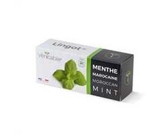 Veritable Véritable Lingot Marokańska mėtų spalvos - BIO*