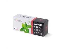 Veritable Véritable Lingot Tajska bazylia - BIO*