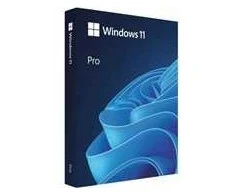 Microsoft Windows Pro 11 64 bitų Slovakijos USB