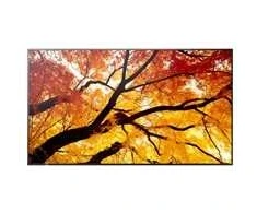Monitorius Sharp M502 50 colių LFD UHD 550CD/M2 D-L - FONINIS APŠVIETIMAS, 24/7 ĮSPĖJIMAS, SDM LIZDAS, CM