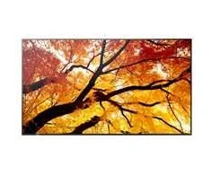 Monitorius Sharp M432 43IN LFD UHD D-LED – 550CD/QM SDM CM 24/7
