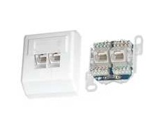 Oem Profi UTP lizdas 2x RJ45 Cat5E, krona, ant gipso