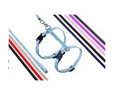 Flamingo - Ziggi Cat harness with line - Juodas