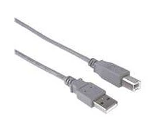 Kabelis USB Gembird USB-B - 3 m Kremas (CCUSB2AMBM10)