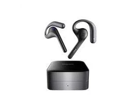 TIMEKETTLE W4 Pro vertimo ausinės
