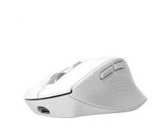 Trust NIVEN COMFORT MULTI - belaidė Pelė WHT