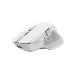 Trust Ozaa+ pelė Office dešinei rankai RF belaidė + Bluetooth Optinė 3200 DPI