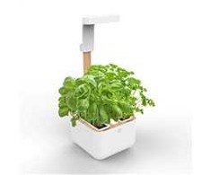 Véritable Botaneo - Automatinis gėlių vazonas + 2 žolelių papildymai