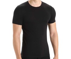 Carruzzo Icebreaker Mens Anatomica SS Crewe