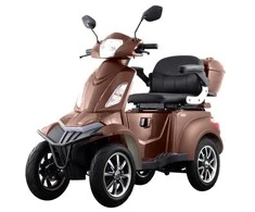 Elektrinis keturratis motoroleris HS650.EEC 1000W 20AH - Ruda