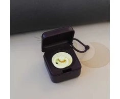 BIBS čiulptuko dėklas - užkandžių dėžutė Plum