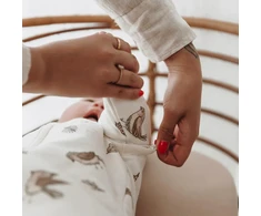 Meyco Baby kūdikio miegmaišis su nusegamomis rankovėmis Robin Multicolour, TOG 2.5