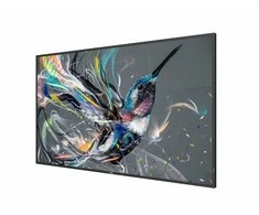 Monitorius Philips 55BDL3511Q 55", Juodos spalvos