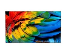Televizorius Philips 58HFL6214U/12 LED 58'' 4K Ultra HD Android