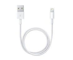 MD819 iPhone 5 Lightning Data Cable 2m Baltas (OOB Masinis)