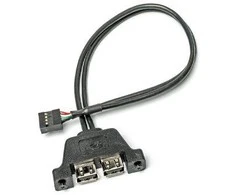 ASRock reduktorius USB 2.0 (9 kontaktų) iki 2 x USB 2.0