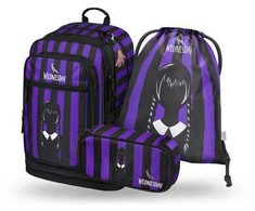 Baagl mokyklinė kuprinė mergaitėms, 3 dalių rinkinys, 29 l, ergonomiška, 45 x 33 x 11 cm