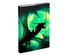 BAAGL lentos mokykliniams sąsiuviniams A4 Dragon