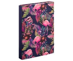 BAAGL Folders for school notebooks A4 Jumbo Flamingo