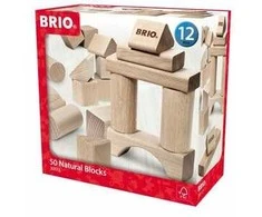 „Brio Rinkinys“ statybiniai blokeliai (30113)